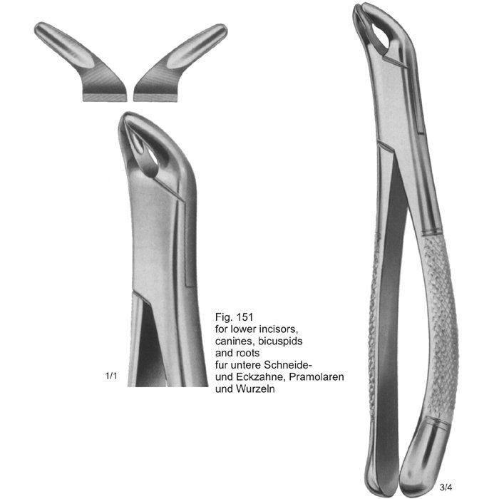 TOOTH EXTRACTING FORCEPS (AMERICAN PATTERN)