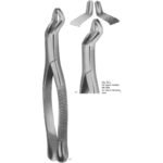 TOOTH EXTRACTING FORCEPS (AMERICAN PATTERN)