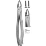 TOOTH EXTRACTING FORCEPS (ENGLISH PATTERN)